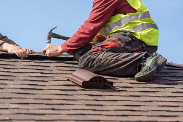 Roof Gutter Cleaning in Shelby, MI