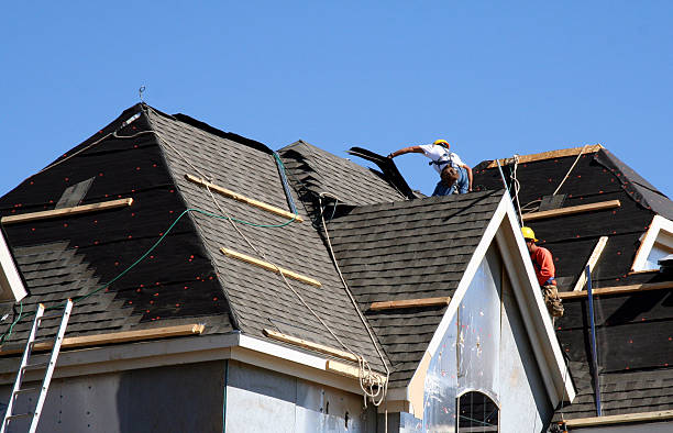 Best Roof Leak Repair  in Shelby, MI