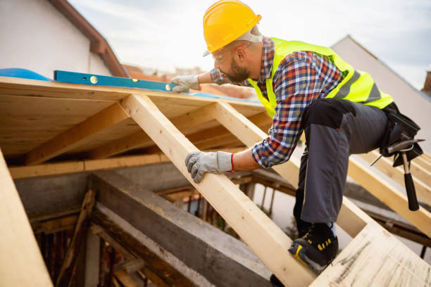 Best Roof Gutter Cleaning  in Shelby, MI
