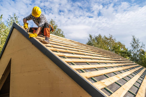 Best Roof Waterproofing Services  in Shelby, MI