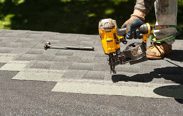 Best Roof Gutter Cleaning  in Shelby, MI