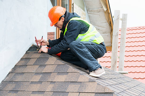 Best Local Roofing Companies  in Shelby, MI