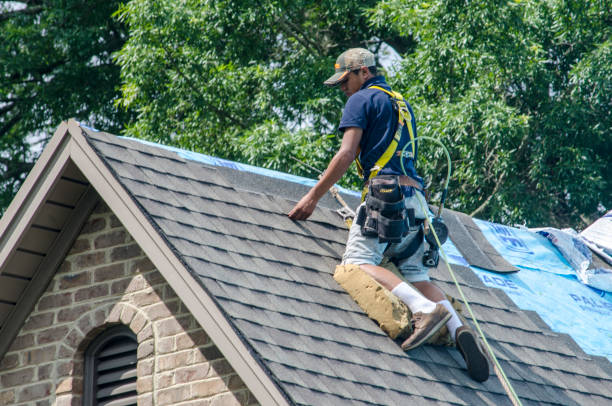 Best New Roof Installation  in Shelby, MI